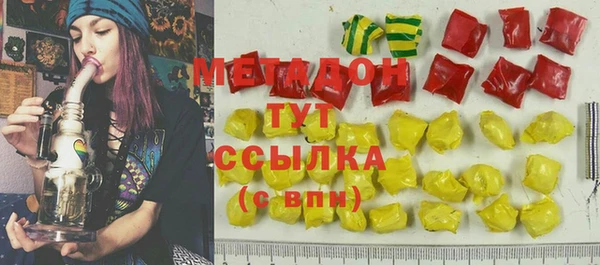 хмурый Аркадак